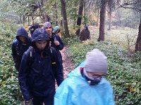 zloty lisc 2017 (28)